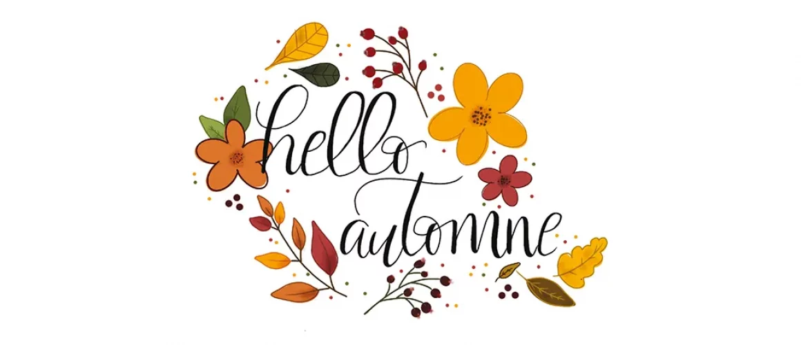 hello-automne-article-bullet-journal