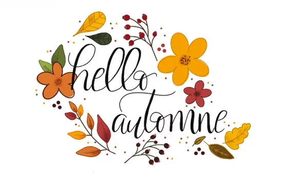 hello-automne-article-bullet-journal
